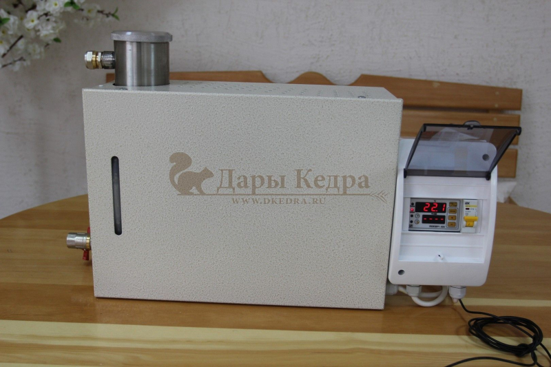 Парогенератор проточный, 2 кВт с выносным цифровым пультом управления